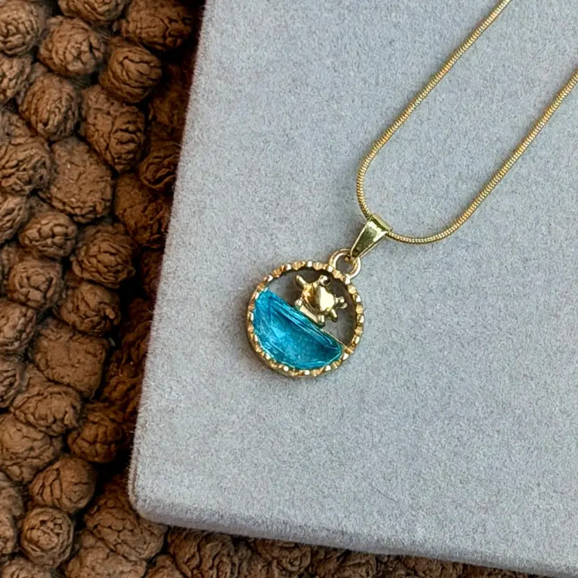 OCEAN SEA TURTLE