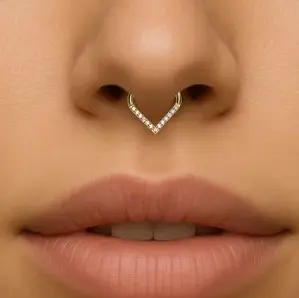 V SHAPED SEPTUM