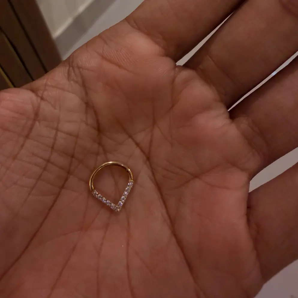 V SHAPED SEPTUM