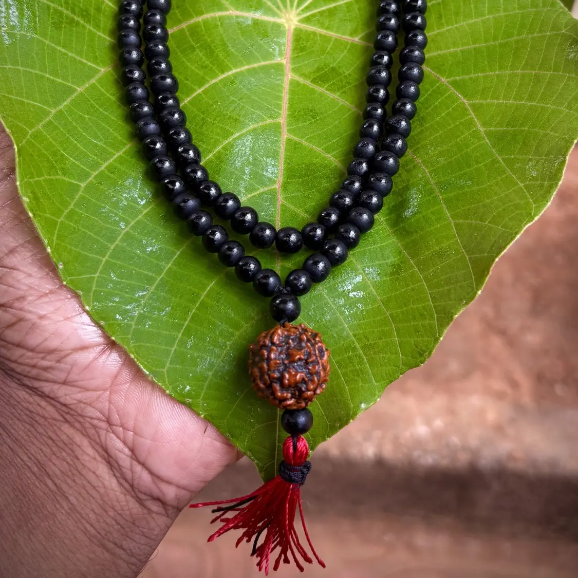 8mm Karungali With 5 Face Rudraksham