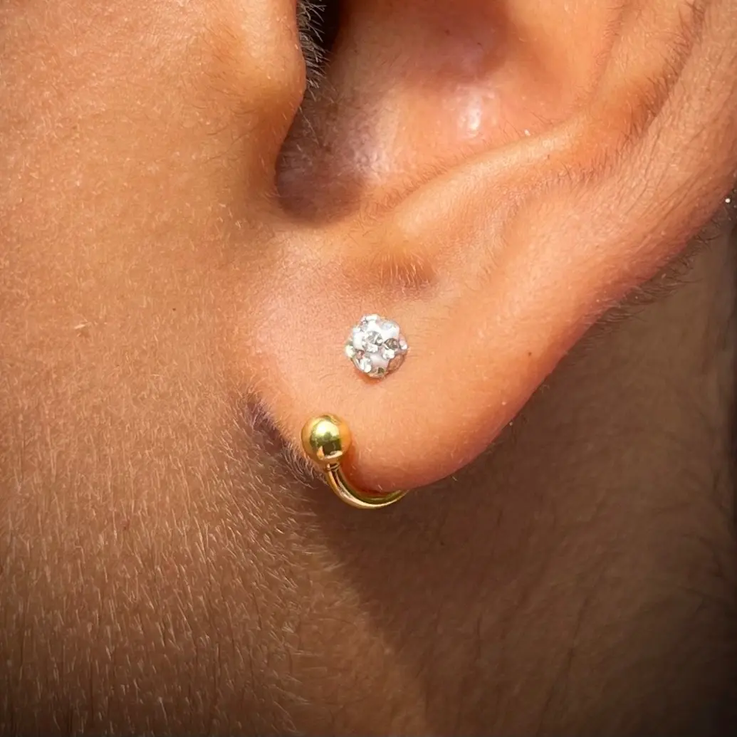 HORSESHOE EARRINGS