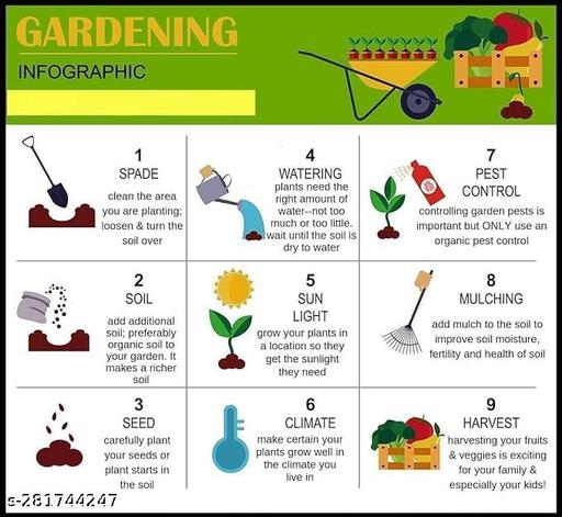 Agnico Flower seeds combo of 40 varieties with instruction manual