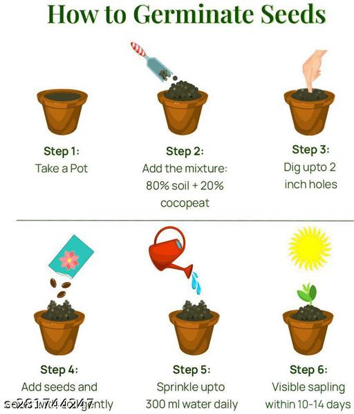Agnico Flower seeds combo of 40 varieties with instruction manual