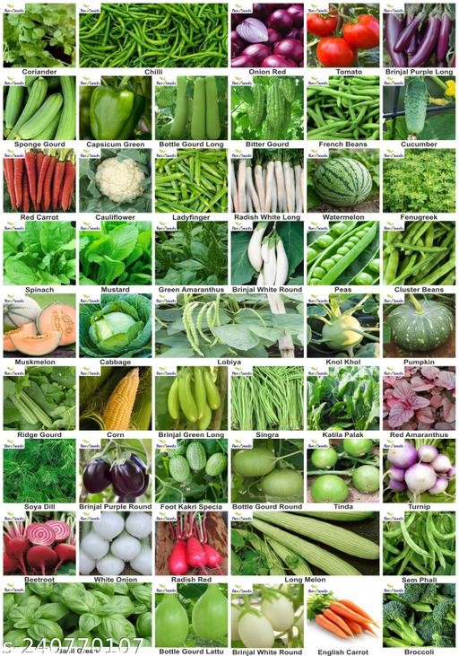 Aero Seeds 50 variety vegetable seeds combo pack with instruction manual.