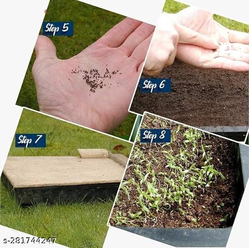 Agnico Flower seeds combo of 40 varieties with instruction manual